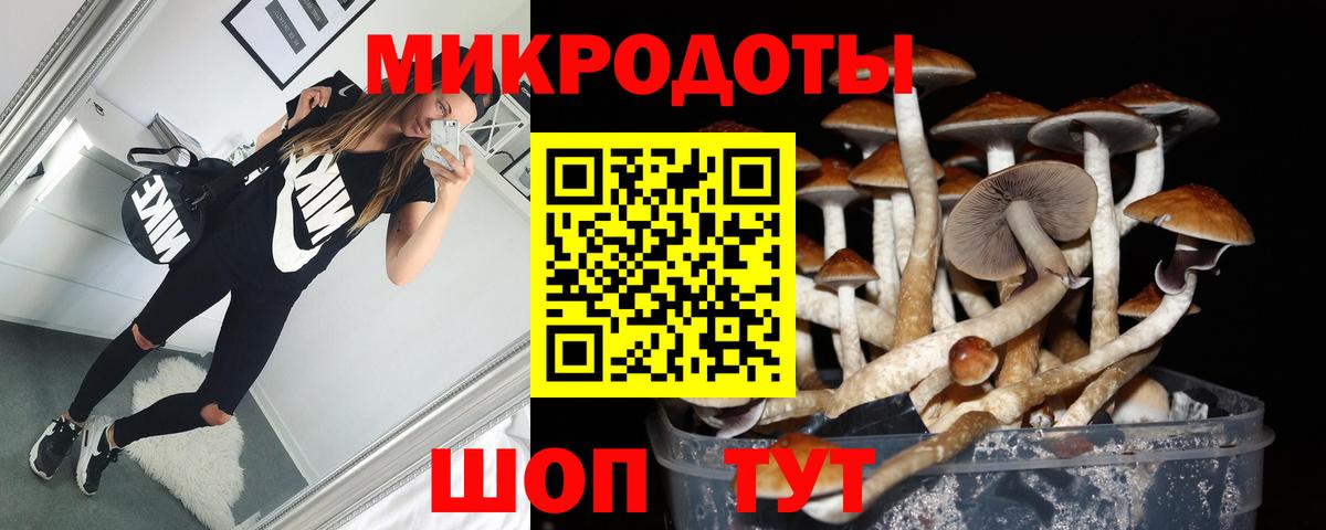 Псилоцибиновые грибы Psilocybine cubensis Кириши